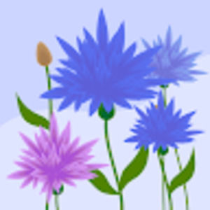 Meet your Posher, Mackenzie